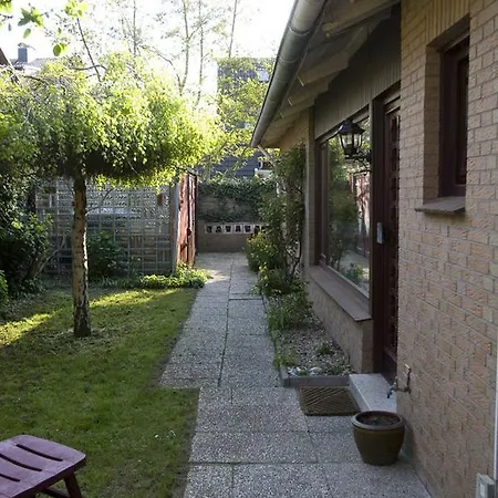 Austernfischer 3 * Borkum