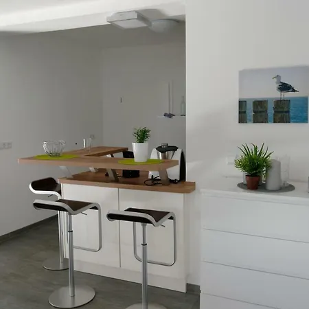 Austernfischer 3 بوركم