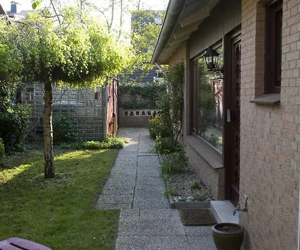 Austernfischer 3 * Borkum