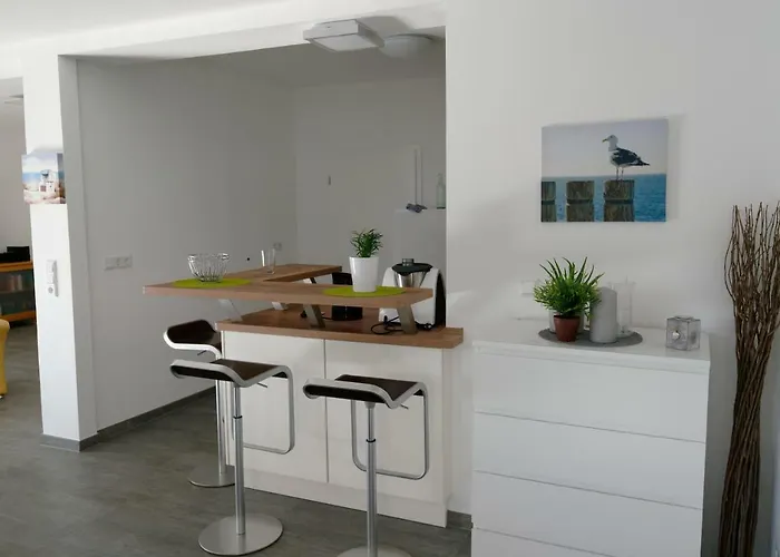 Austernfischer 3 Borkum