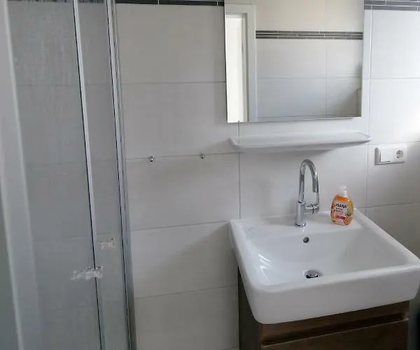 Austernfischer 3 Borkum